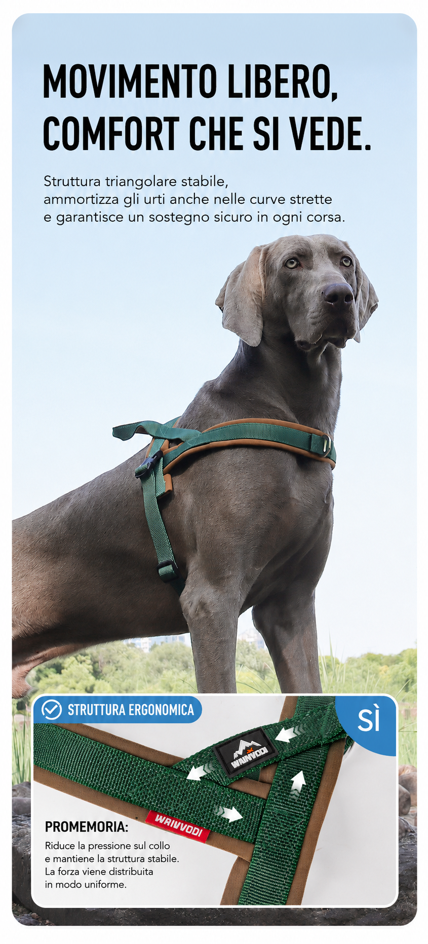 Pettorina Stile Sella per Cani — Nobile