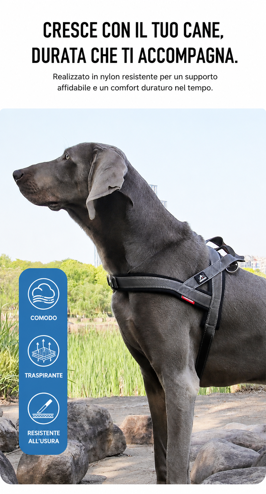 Pettorina Stile Sella per Cani — Nobile
