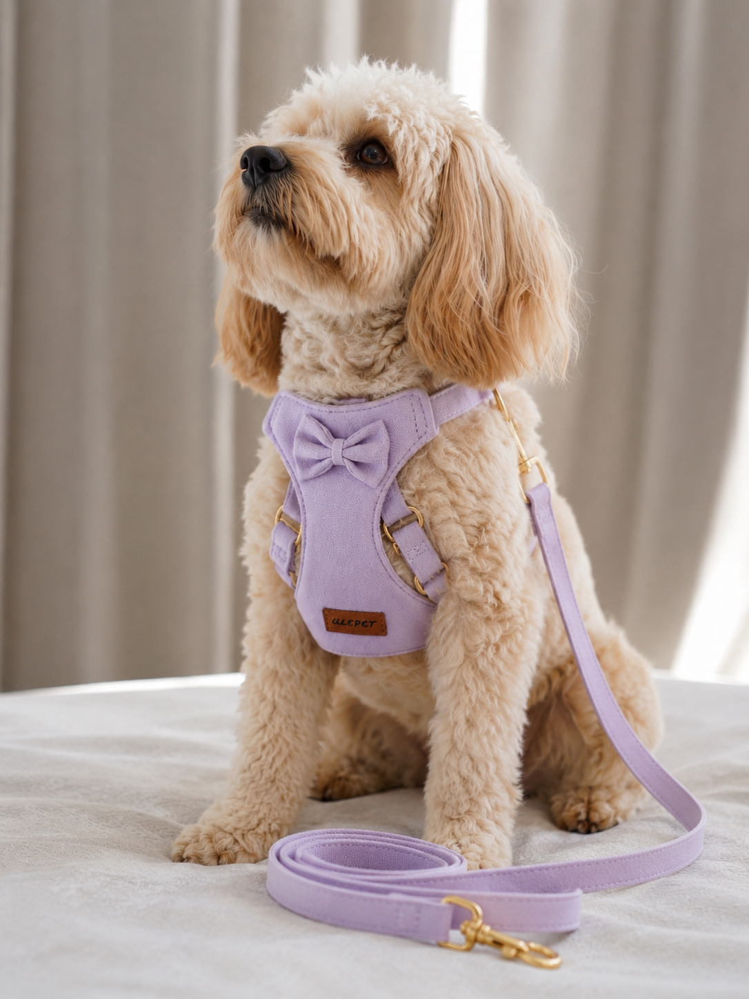 Pettorina con Papillon per Cani — Nobile